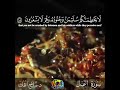 حتى إذا أتوا على وادي النمل قالت نملة يا أيها النمل ادخلوا مساكنكم صلاح باعثمان 
