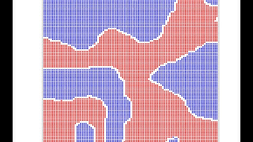 Schelling Model of Segregation