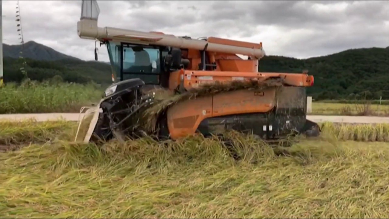 HJ7135 서산동양ISEKI대리점,2019.09.22철원 도복작업2