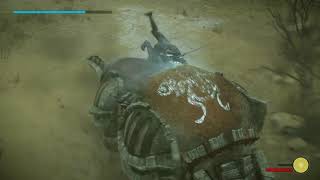 SHADOW OF THE COLOSSUS How to kill the 11th colossus