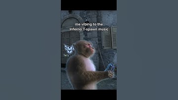 Me vibing to Inferno T-spawn music
