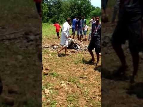 Himachal: A MiG 21 fighter jet crashes in Kangra