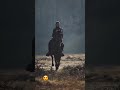 آمده ام که تا به خود گوش کشان کشانمت بي دل و بيخودت کنم در دل و جان نشانمت