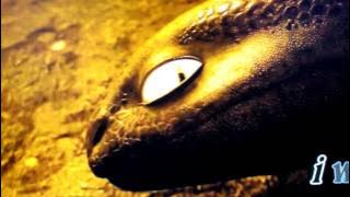 Hictooth-my house(by Florida)