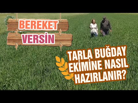 Video: Tahıl öğütücü 