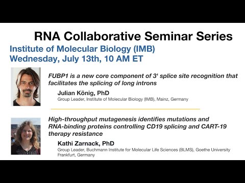 RNA Collaborative - Institute of Molecular Biology (IMB), July 13, 2022