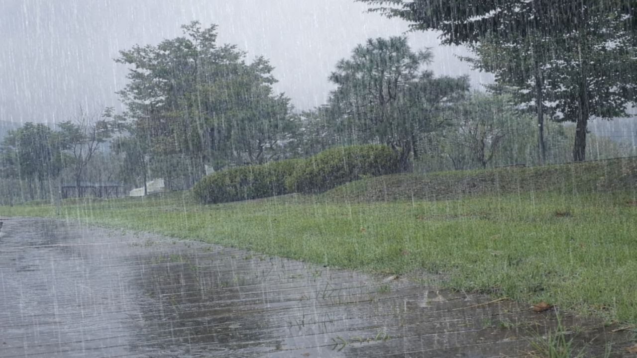 Чёрный экран через 5 минут | Звук дождя, от которого засыпаешь, как только положишь голову  | ASMR