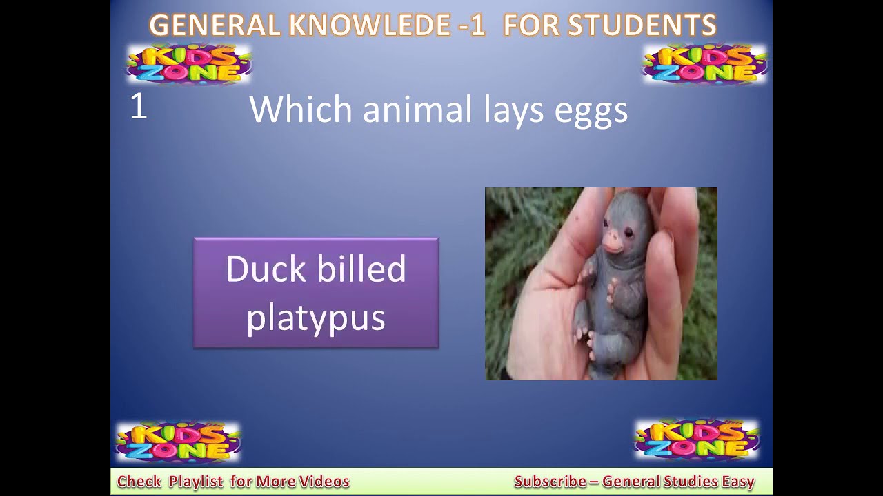 GENERAL KNOWLEDGE PART 1 | General Studies Easy - YouTube