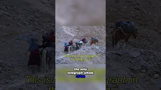 Kids Trek Miles to Save School: Will They Make It? | Journey from Zanskar #shorts