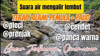 Gemericik air sungai, pancingan pleci, panca warna, prenjak, cendet, adalah cara terapi burung macet