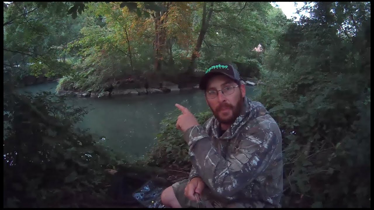 The Quest for Carp-O-Pottomus : Session 1