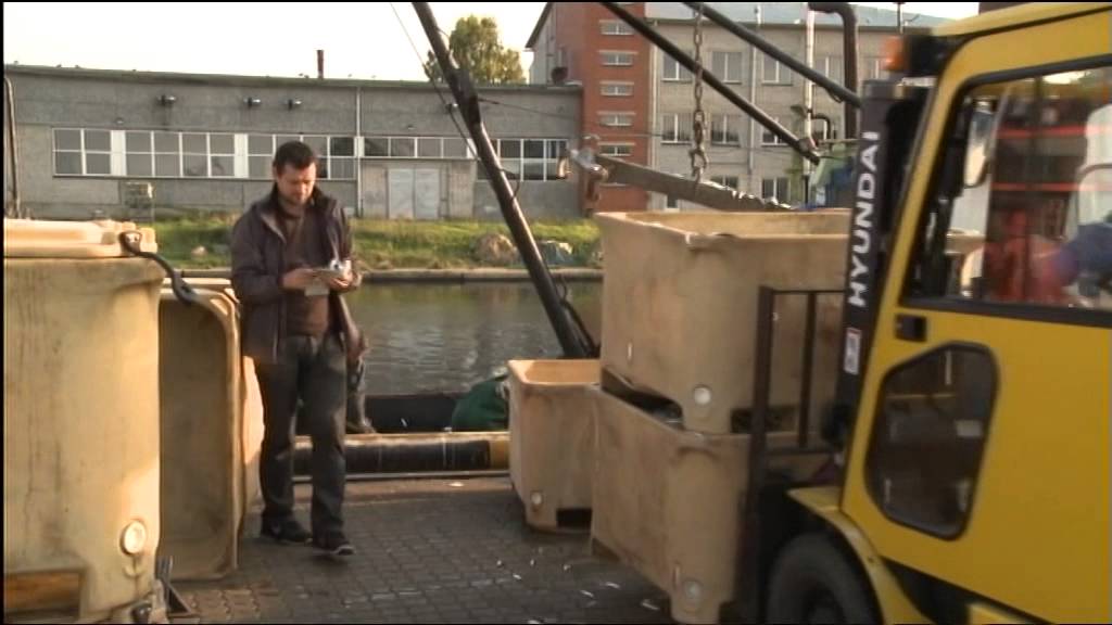 Main topics of the Agriculture and Fisheries Council in Brussels on January 26, 2015