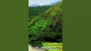 سورة القمر / ماهر المعيقلي
