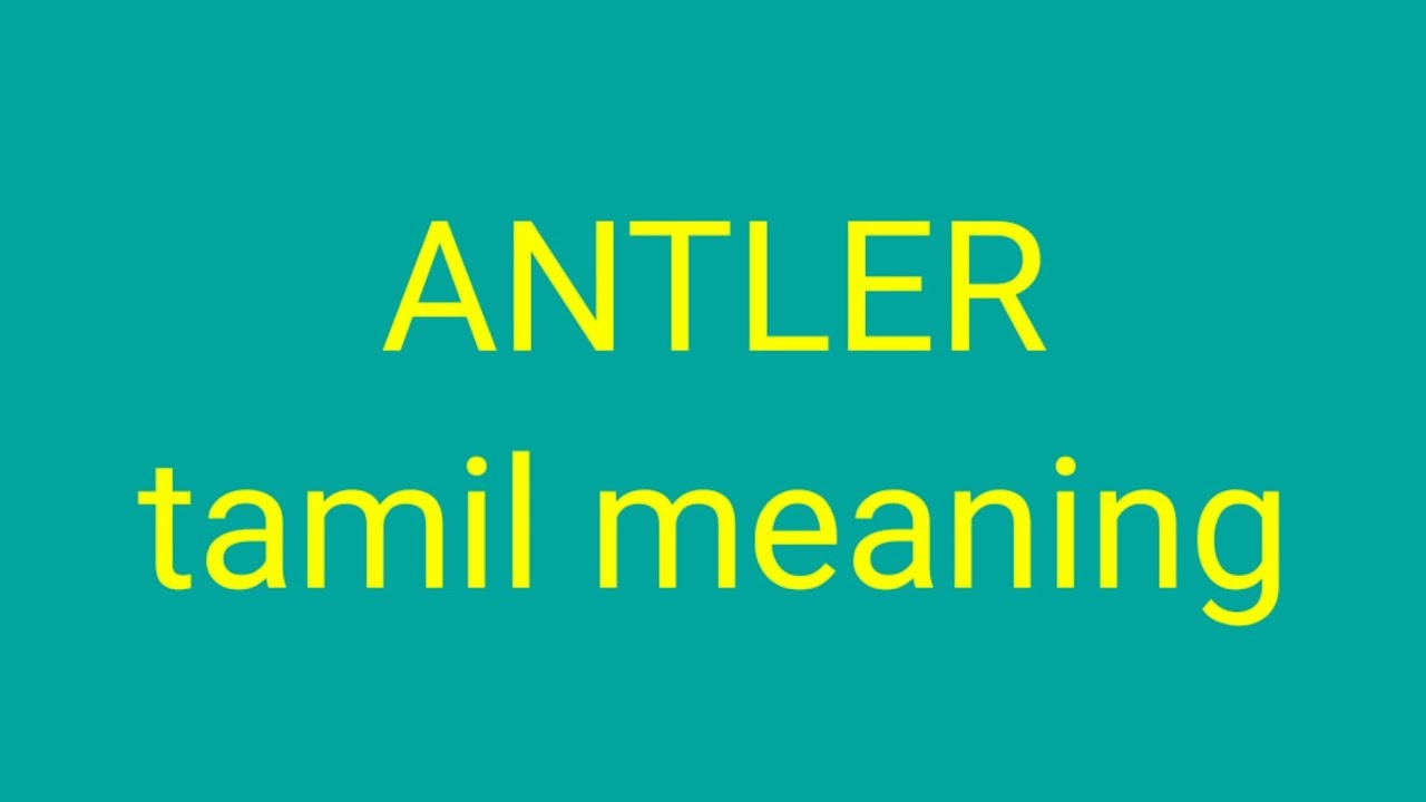 Deer Antler Meaning In Tamil