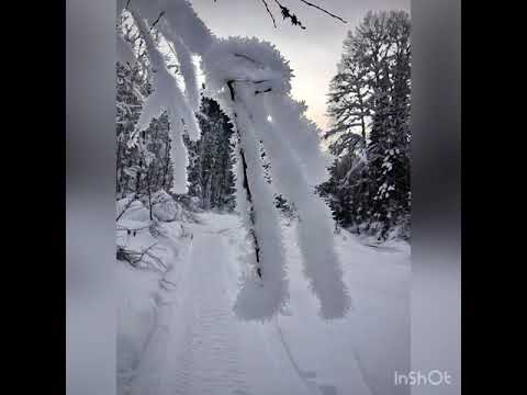 По Хамар-Дабану на
