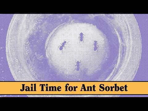 You Can't Put Ants on Food in Korea