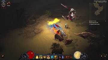 Diablo 3 -  Enemy Animation Stuck Glitch