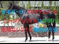 日本ダービー クロワデュノールとミュージアムマイル共倒れもある危険なシグナル