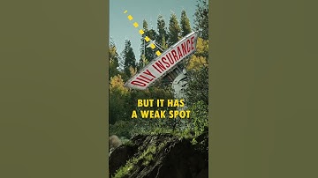 Insure Our Survival | Extinction Rebellion UK