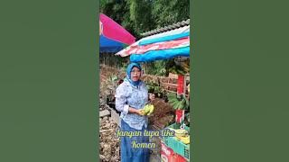 VIRAL-----KUMPULAN VIDIO LUCU BU UMROH....