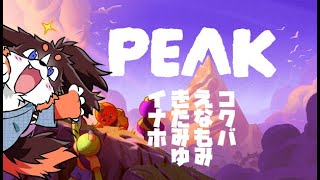 PEAK　４にんでやまのぼり