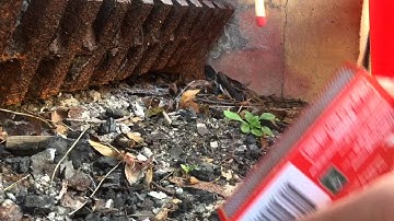 How To Fix CS-GO Crashing On Mac :)