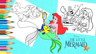 Coloring Disney Princess Ariel Flounder & Sebastian The Little Mermaid Under The Sea Coloring Page Net Worth