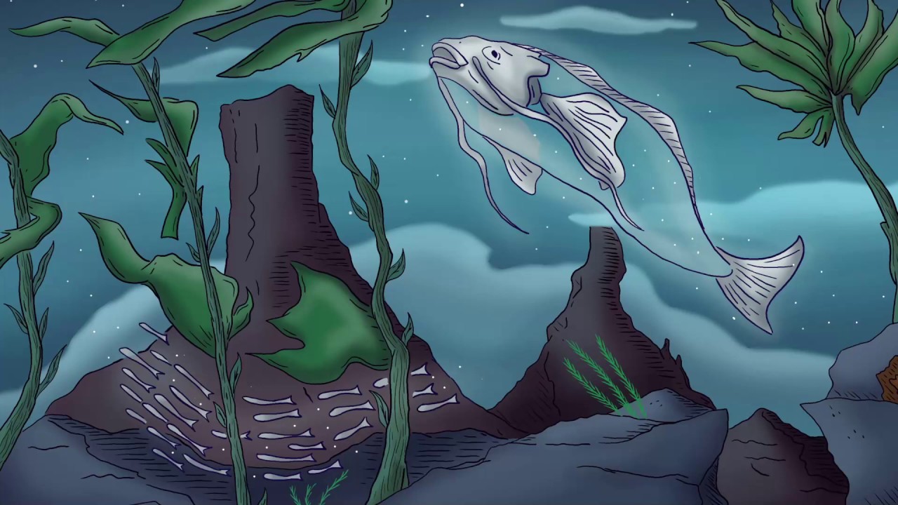 Watch Devaloop - Aquarius on YouTube Watch Devaloop - Aquarius on YouTube