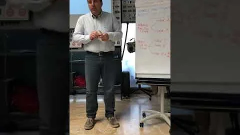 Come funziona la numerazione degli autobus a Roma?