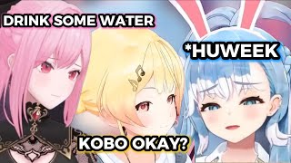 Kobo Tries the Highest Alcohol Drink (13.5%) for the First Time