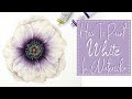 How to Paint White With Watercolor // White Flower Watercolor Tutorial // Beginner Tutorial