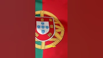 Discover the Surprising Countries Featuring Bold Circles in Their National Flags Today!