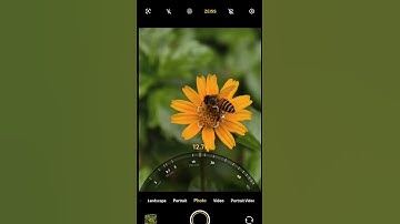ViVO X200 Pro Macro Photography Test Best Super Macro Zoom Test Photography Test #vivox200pro