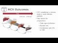 Viral Hepatitis C