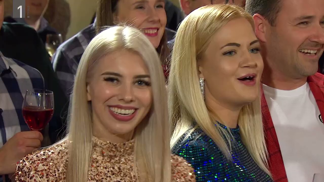 NA SILVESTROVO - NE POZABI DOMOVINE, V VAŠKI KRČMI, NE RECI NIKDAR (V PETEK ZVEČER)