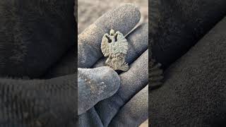 Prussian Eagle Badge Found.