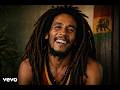 🌿&ldquo;Bob Marley Rare Roots Mix | Dark Reggae Vol.1 (2026)&rdquo;