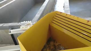 FishCounter Using OpenCV and Machine Learning