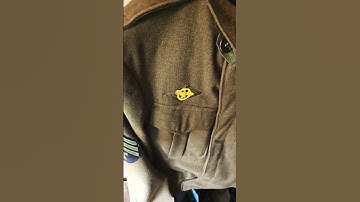 this is a history lesson on a World War II uniform patch called the Raptor duck for the US Army