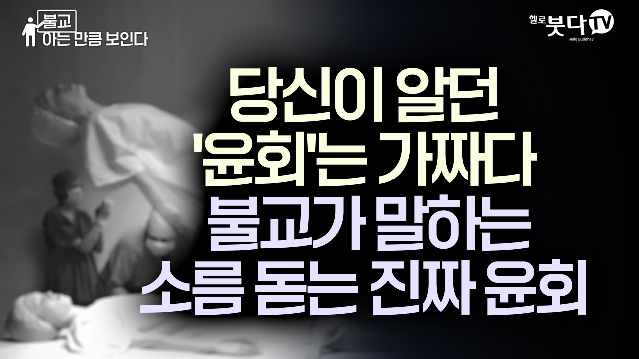 불교엔 영혼이 없다? 그럼 대체 무엇이 윤회하는 걸까? | 신(神)도 피할 수 없는 우주의 법칙 '윤회', 이걸 알면 내 운명을 바꿀 수 있습니다 | 불교 아는 만큼 보인다 3회
