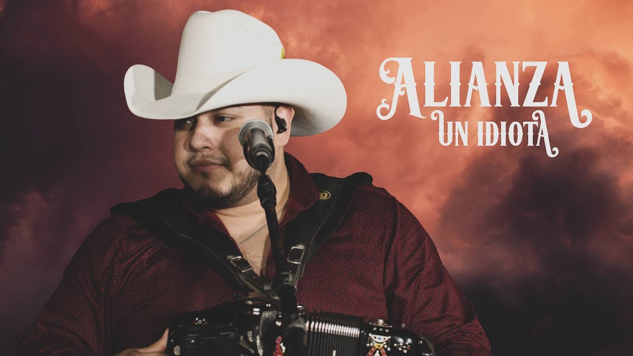 Un Idiota Grupo Alianza