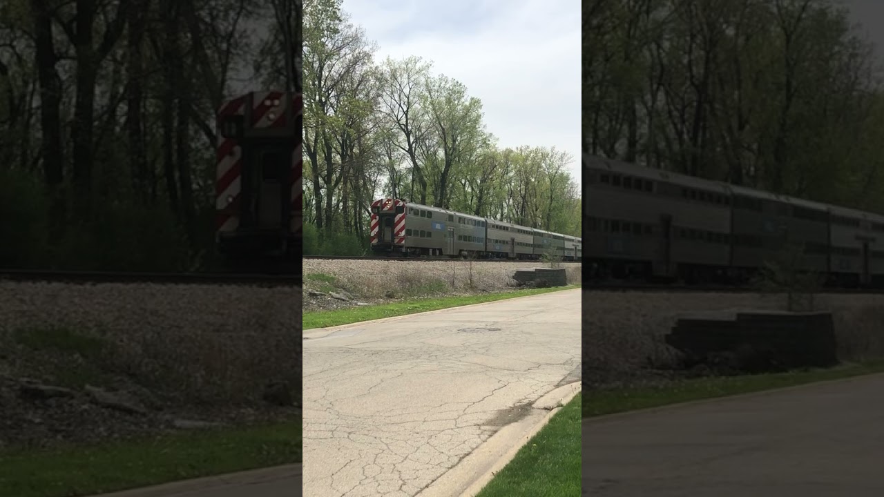 1st Metra Sws catch of May 2025