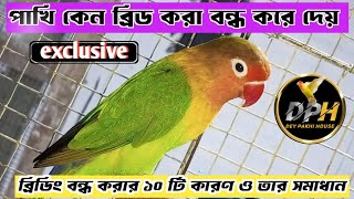 10 Reasons of Birds Stop Breeding //পাখির ব্রিডিং বন্ধ করার ১০টি কারণ ও তার সমাধান।#birdsbreeding