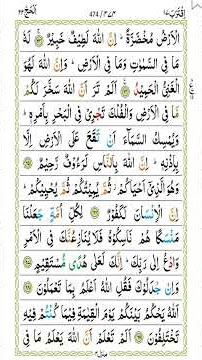 Tilaawat Page A Day Juz 17 Surah Hajj Page 474#shorts#islamicshorts#islamicstory#shortvideo#ytshorts