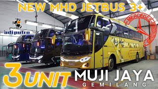 SIAP BERSAING DI JEPARA ‼️ RILIS 3 UNIT BUS NEW MHD PO MUJI JAYA GEMILANG DARI KAROSERI ADIPUTRO