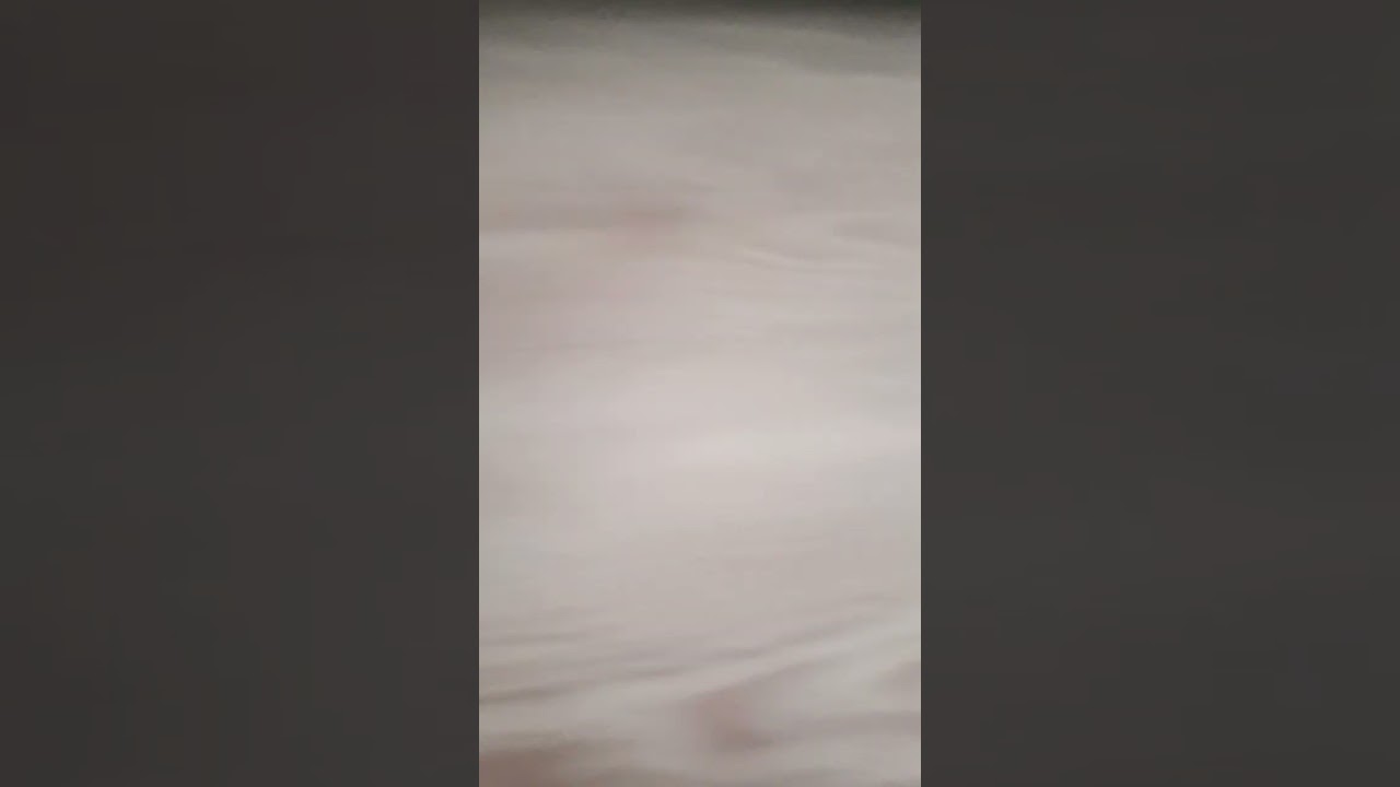 this trend but i have no ducks lol 