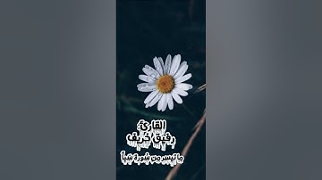 تلاوة فجرية ماتعة، للقارئ الشيخ رفيق خريف حفظه الله، ما تيسر من سورة سبأ.
