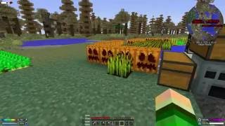 Minecraft Бесстрашные похождения - #09 - В поисках пустыни [JDI Team: Alisichka]