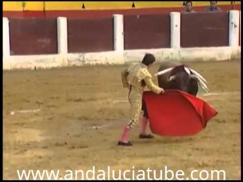 5 reasons against bullfighting image