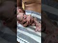 #adorably #babymonkey #adoreble #babyprimate #animals #babyanimal #cute #cuteanimal #funny #cutepet